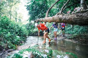 BIB: 
                            <button type="button" onclick="openModal(25439179)" class="btn btn-primary btn-sm float-right btn-popup" data-toggle="modal" data-target=".modal-high-quality">
                        <i class="fas fa-shopping-cart"></i> Add to Cart
                    </button>
                                            <button type="button" onclick="isThisMe(25439179, true)" class="btn btn-success btn-sm float-right btn-popup btn-isme hidden" data-toggle="tooltip" data-placement="bottom" title="นี่คือรูปของคุณใช่ไหม คลิกที่นี่เพื่อเอาเข้าอัลบั้ม">
                        <i class="fas fa-plus"></i> Add to album
                    </button>
                    <button type="button" onclick="isThisMe(25439179, false)" class="btn btn-warning btn-sm float-right btn-popup btn-isnotme hidden">
                        <i class="fas fa-ban"></i> Remove from album
                    </button>